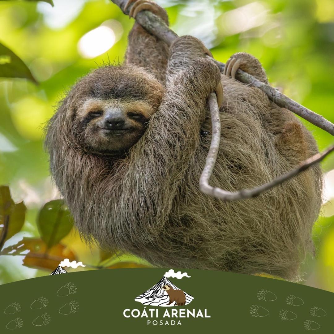 Coati Del Arenal Posada La Fortuna Exterior foto